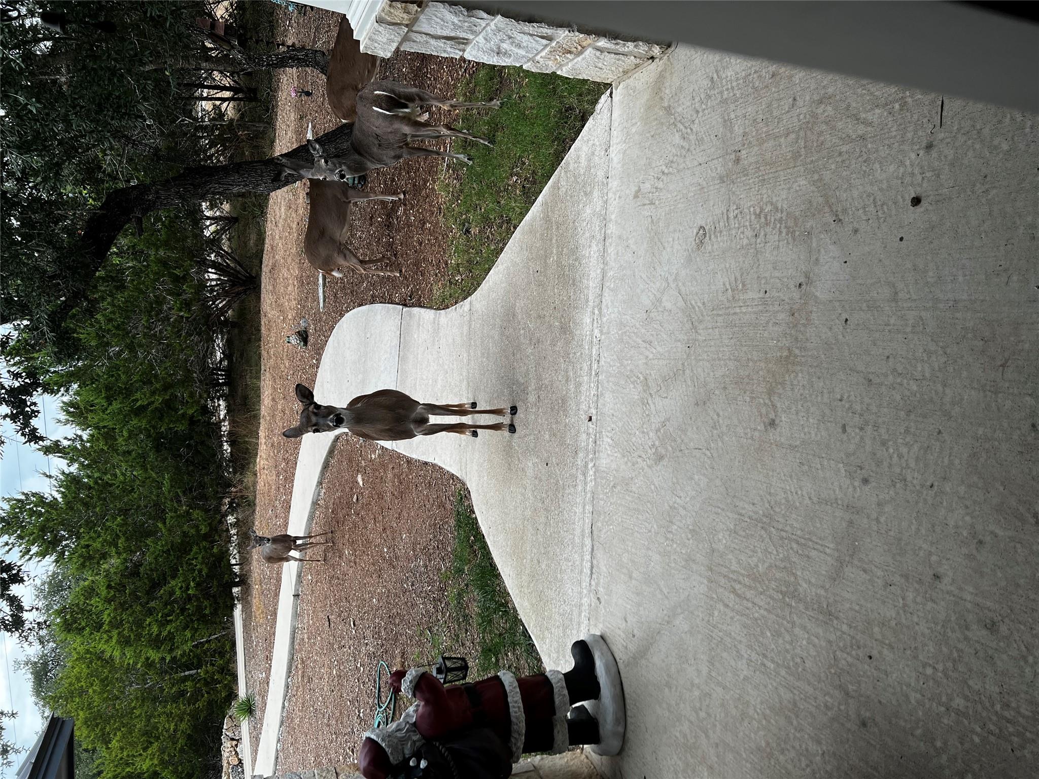 13326 Trautwein Rd, Austin, TX 78737