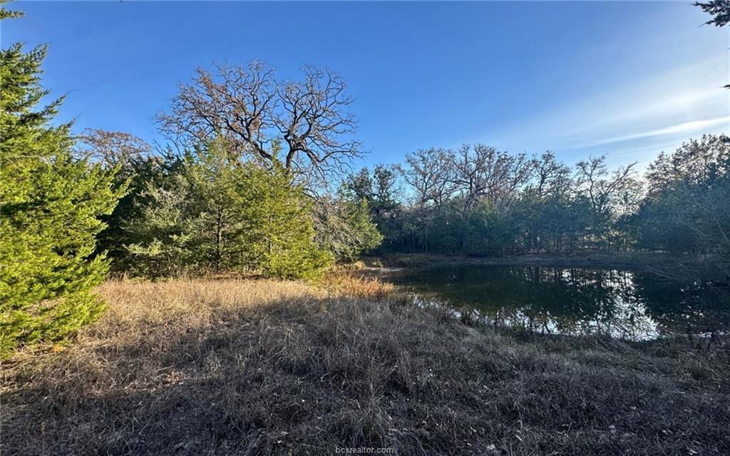 TBD County Road 132 (21.44 Acres), Somerville, TX 77879