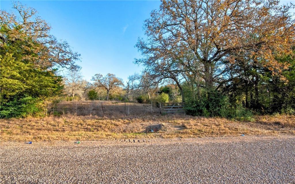 TBD County Road 132 (21.44 Acres), Somerville, TX 77879
