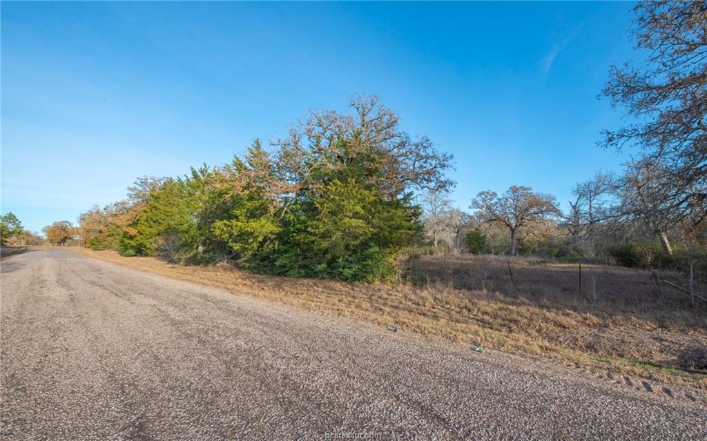 TBD County Road 132 (21.44 Acres), Somerville, TX 77879