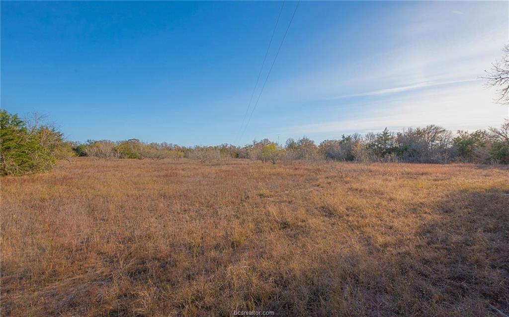 TBD County Road 132 (21.44 Acres), Somerville, TX 77879