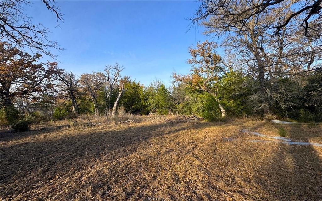 TBD County Road 132 (21.44 Acres), Somerville, TX 77879