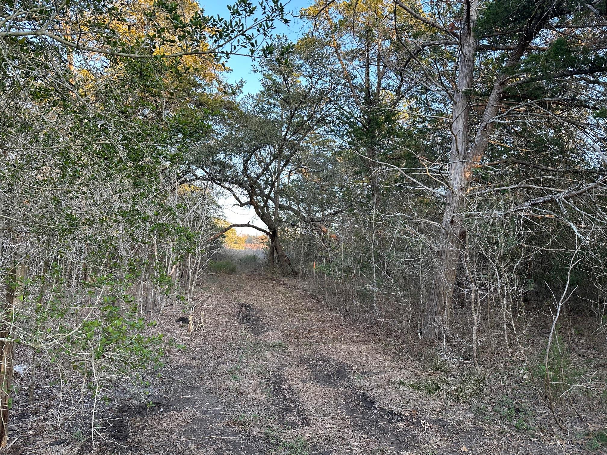 303 FM 609 Rd, Flatonia, TX 78941