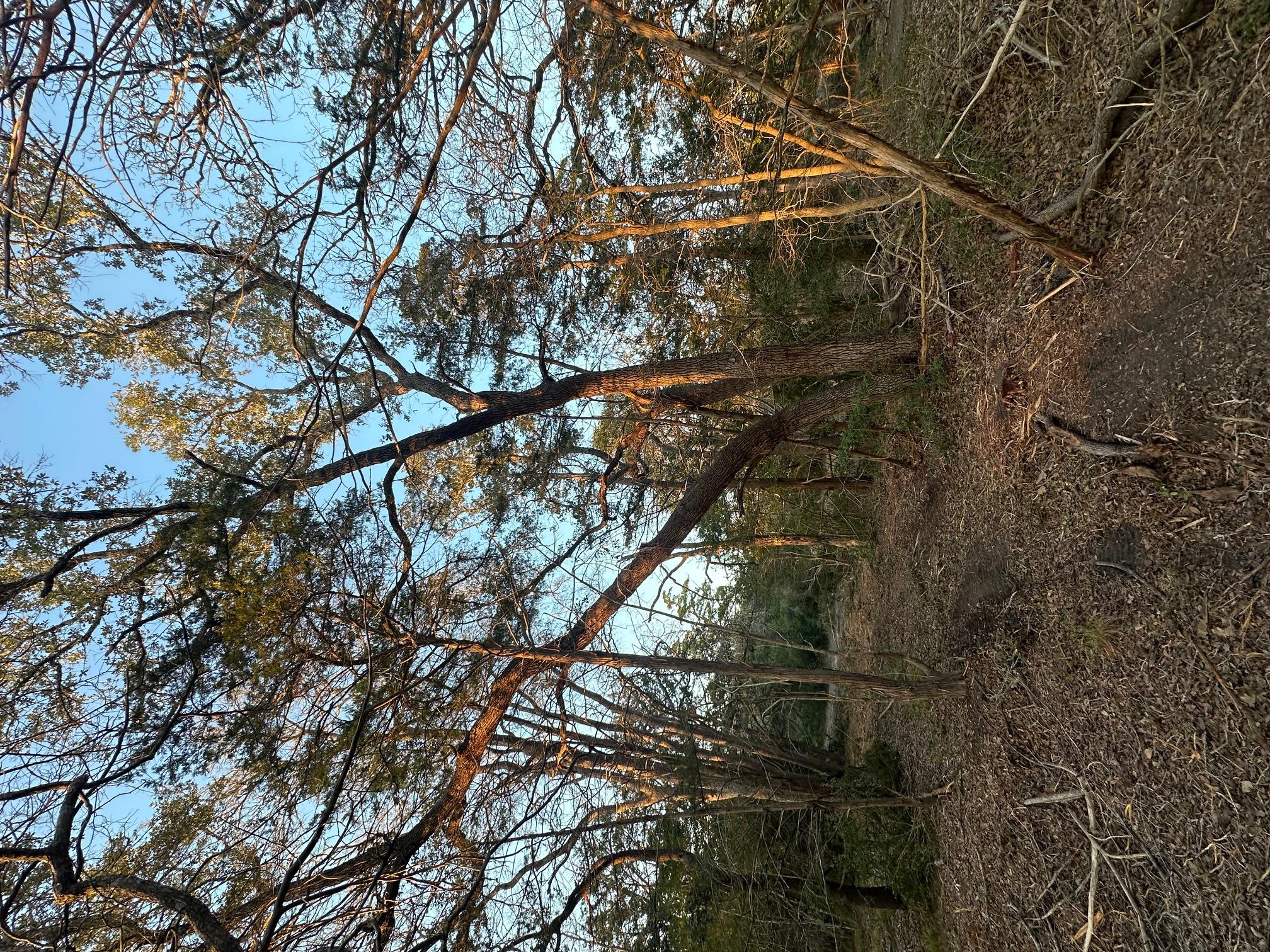 303 FM 609 Rd, Flatonia, TX 78941