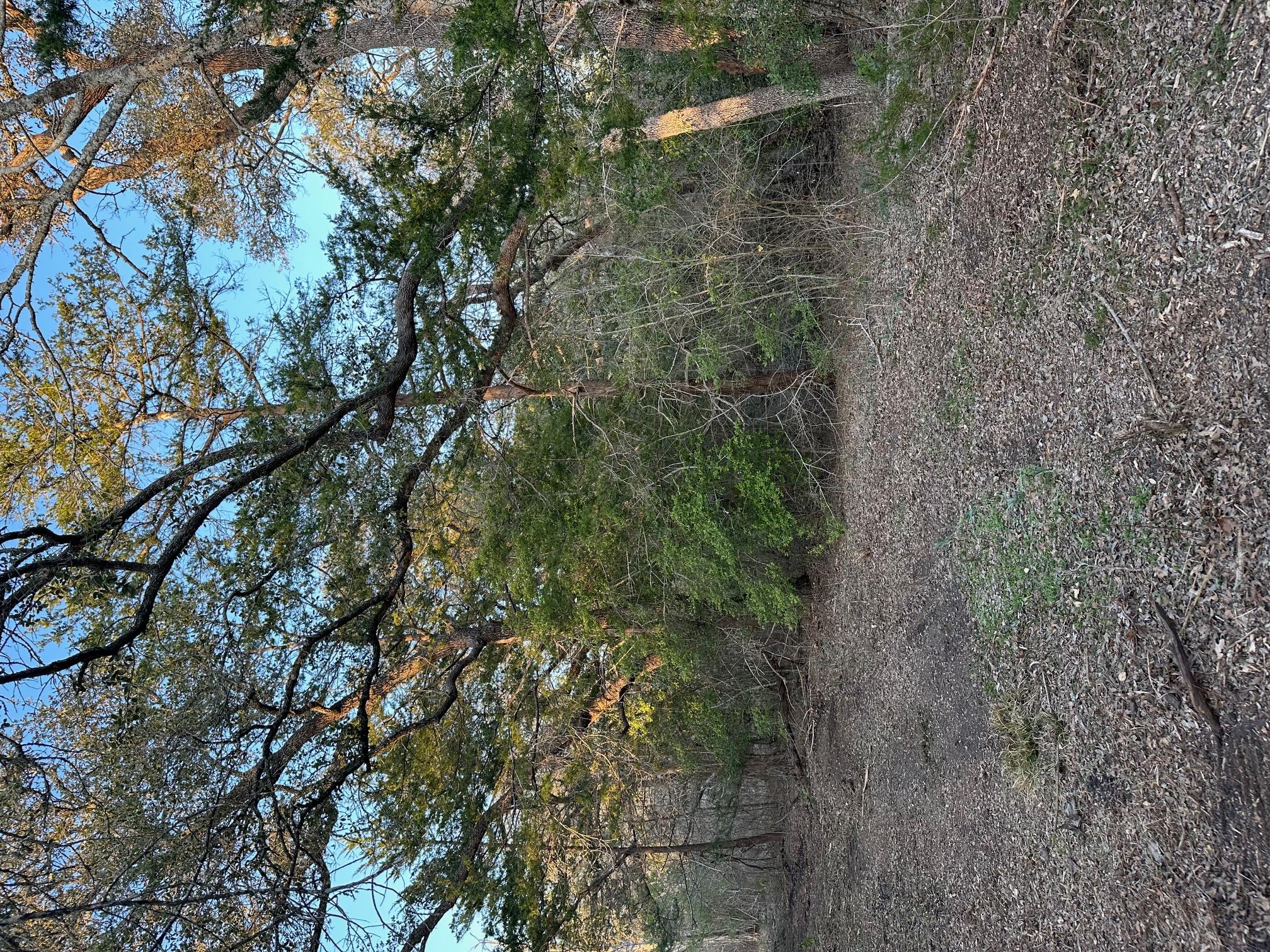 303 FM 609 Rd, Flatonia, TX 78941