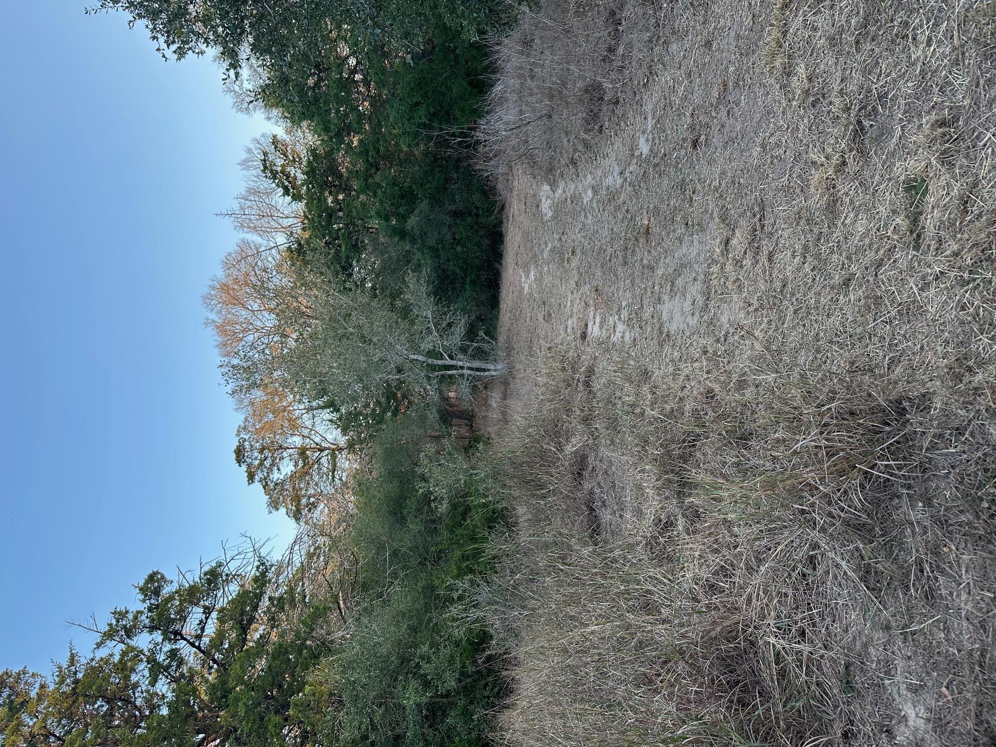 303 FM 609 Rd, Flatonia, TX 78941