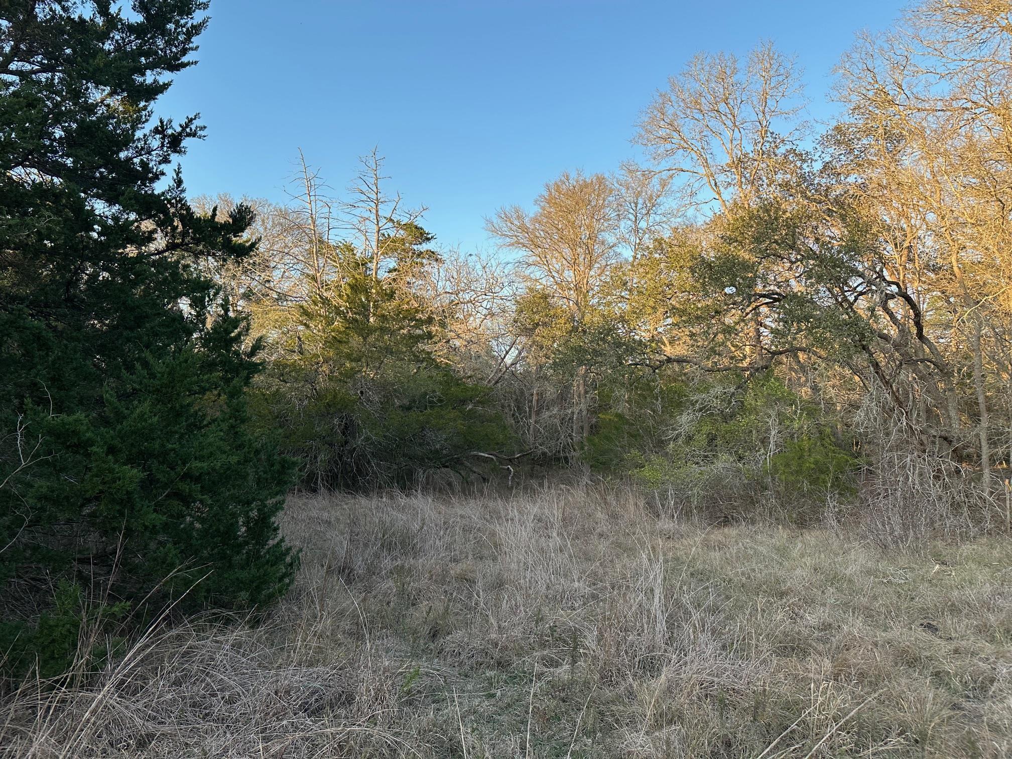 303 FM 609 Rd, Flatonia, TX 78941