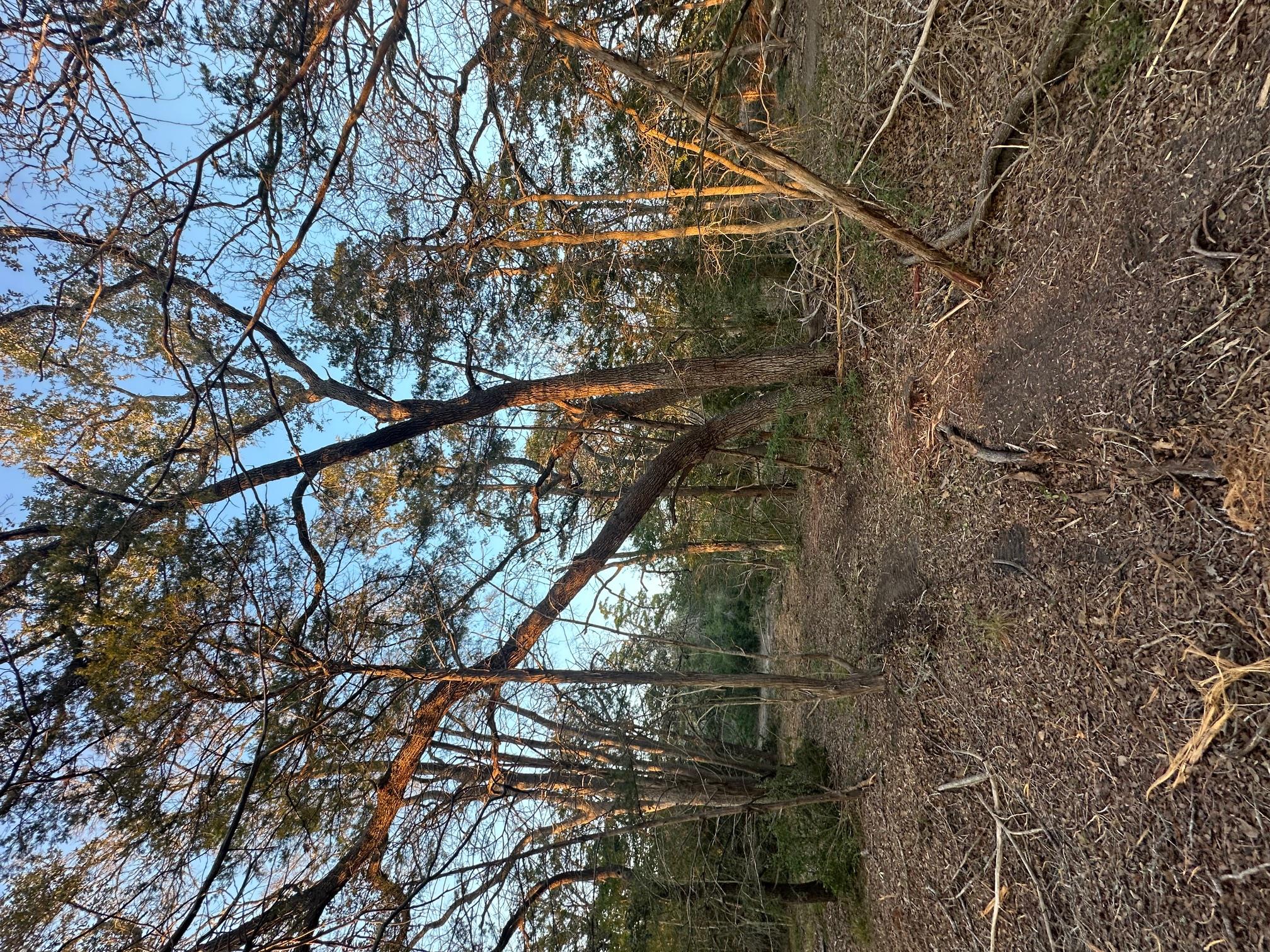 303 FM 609 Rd, Flatonia, TX 78941