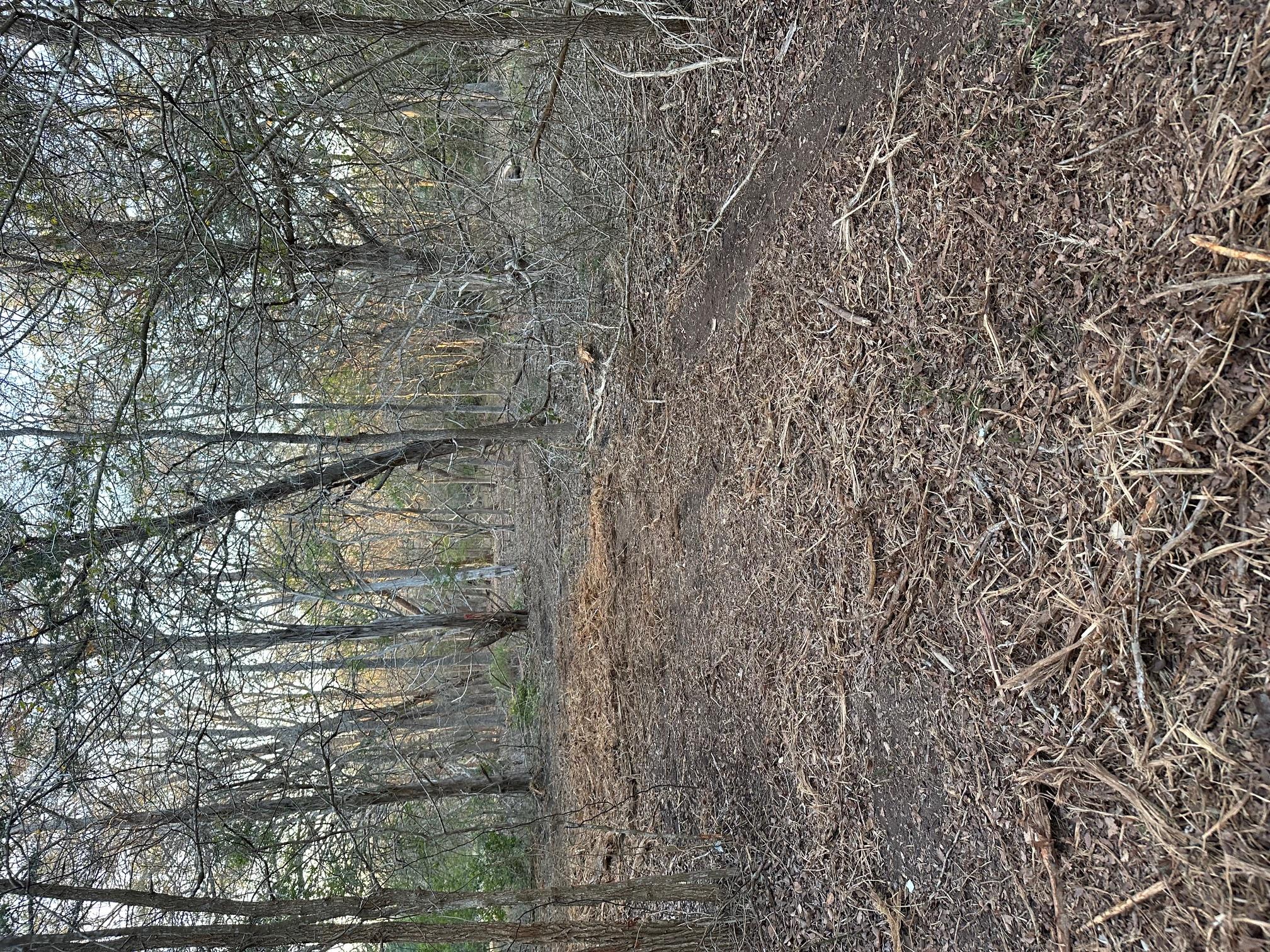 303 FM 609 Rd, Flatonia, TX 78941