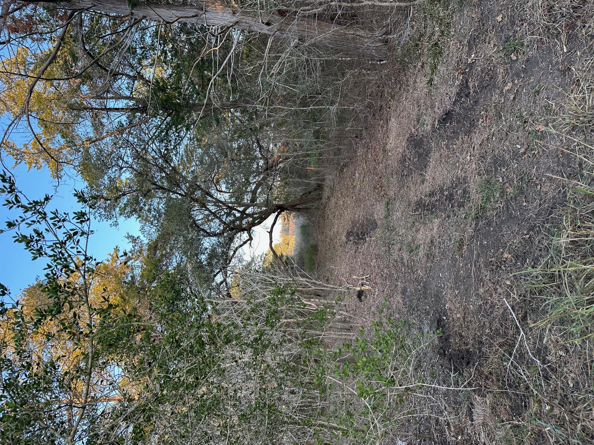 303 FM 609 Rd, Flatonia, TX 78941