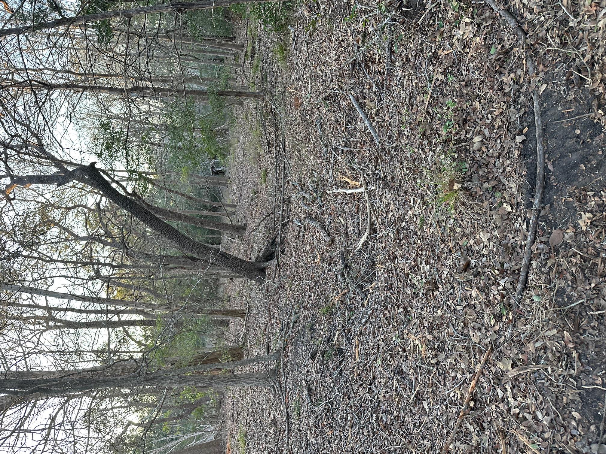 303 FM 609 Rd, Flatonia, TX 78941