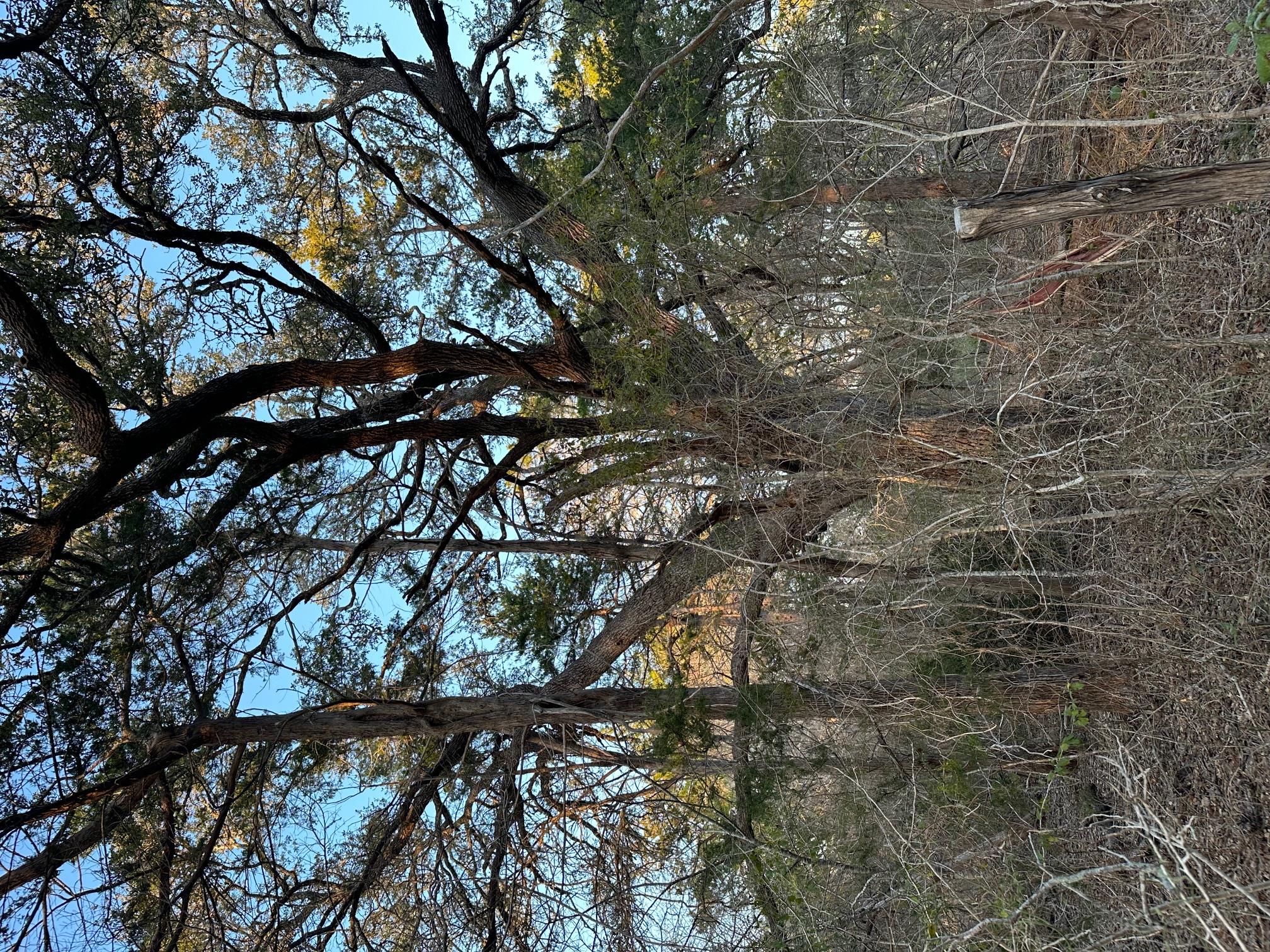 303 FM 609 Rd, Flatonia, TX 78941