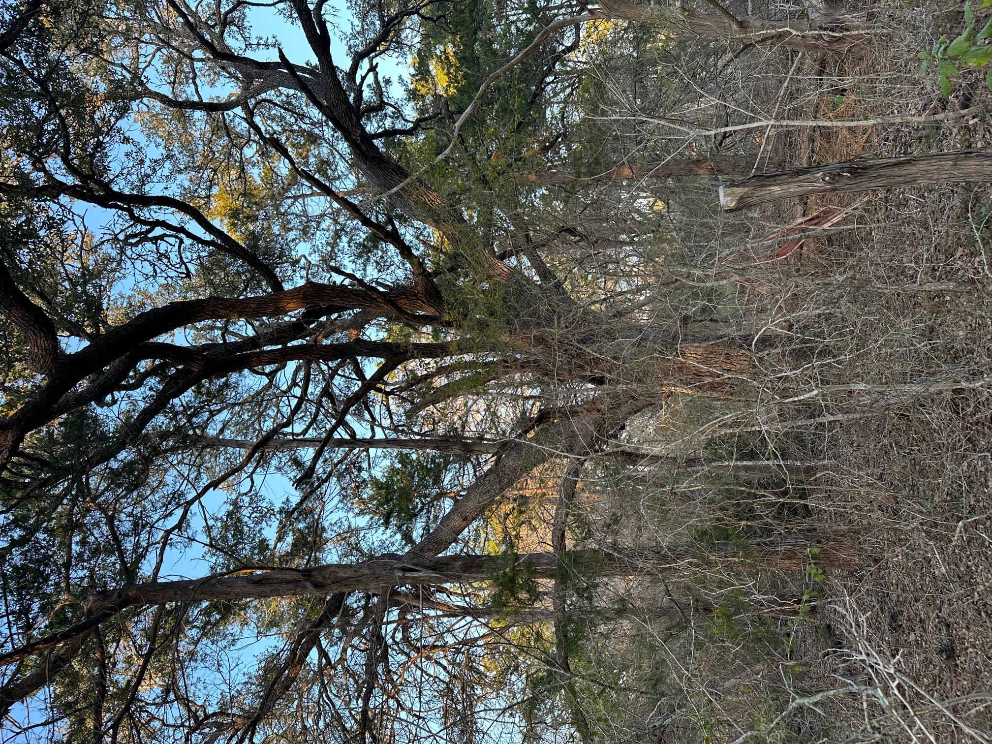 303 FM 609 Rd, Flatonia, TX 78941