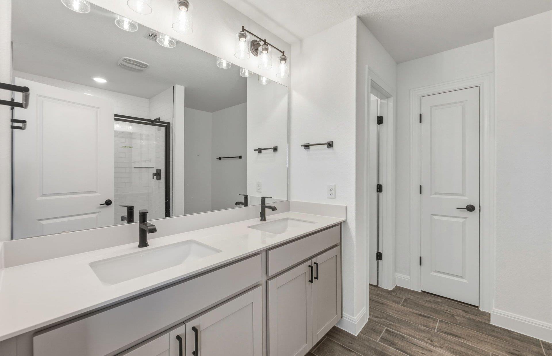 13313 Cerro Castellan Trce, Manor, TX 78653