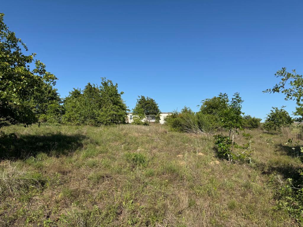 538 Cottletown Rd, Smithville, TX 78957