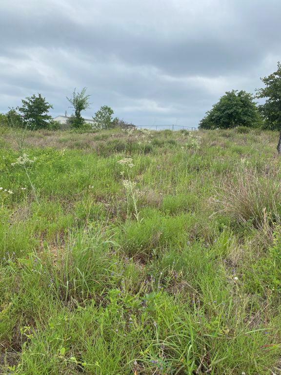 538 Cottletown Rd, Smithville, TX 78957