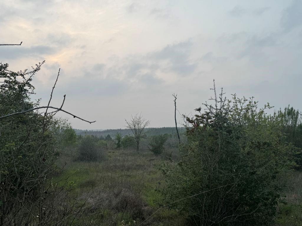 538 Cottletown Rd, Smithville, TX 78957