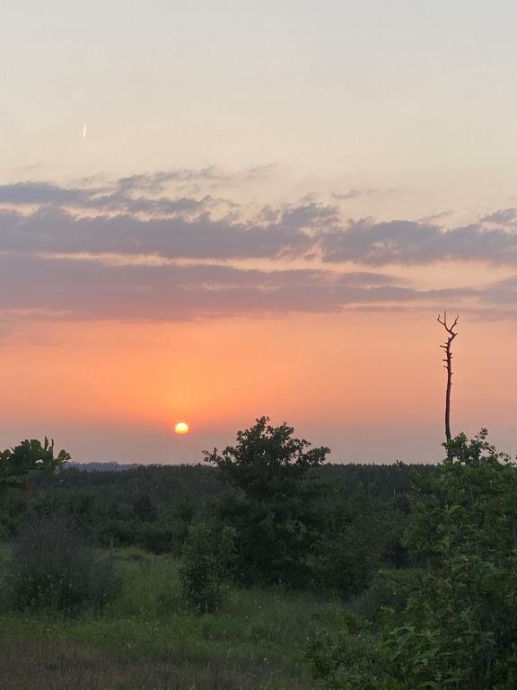 538 Cottletown Rd, Smithville, TX 78957