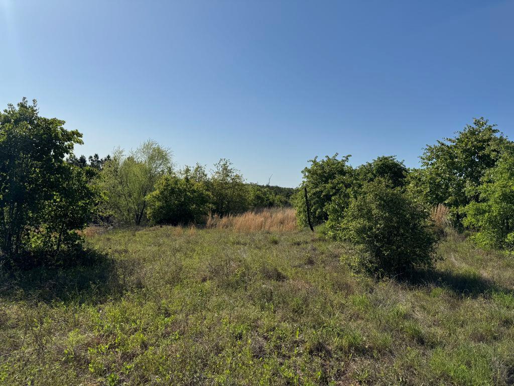 538 Cottletown Rd, Smithville, TX 78957