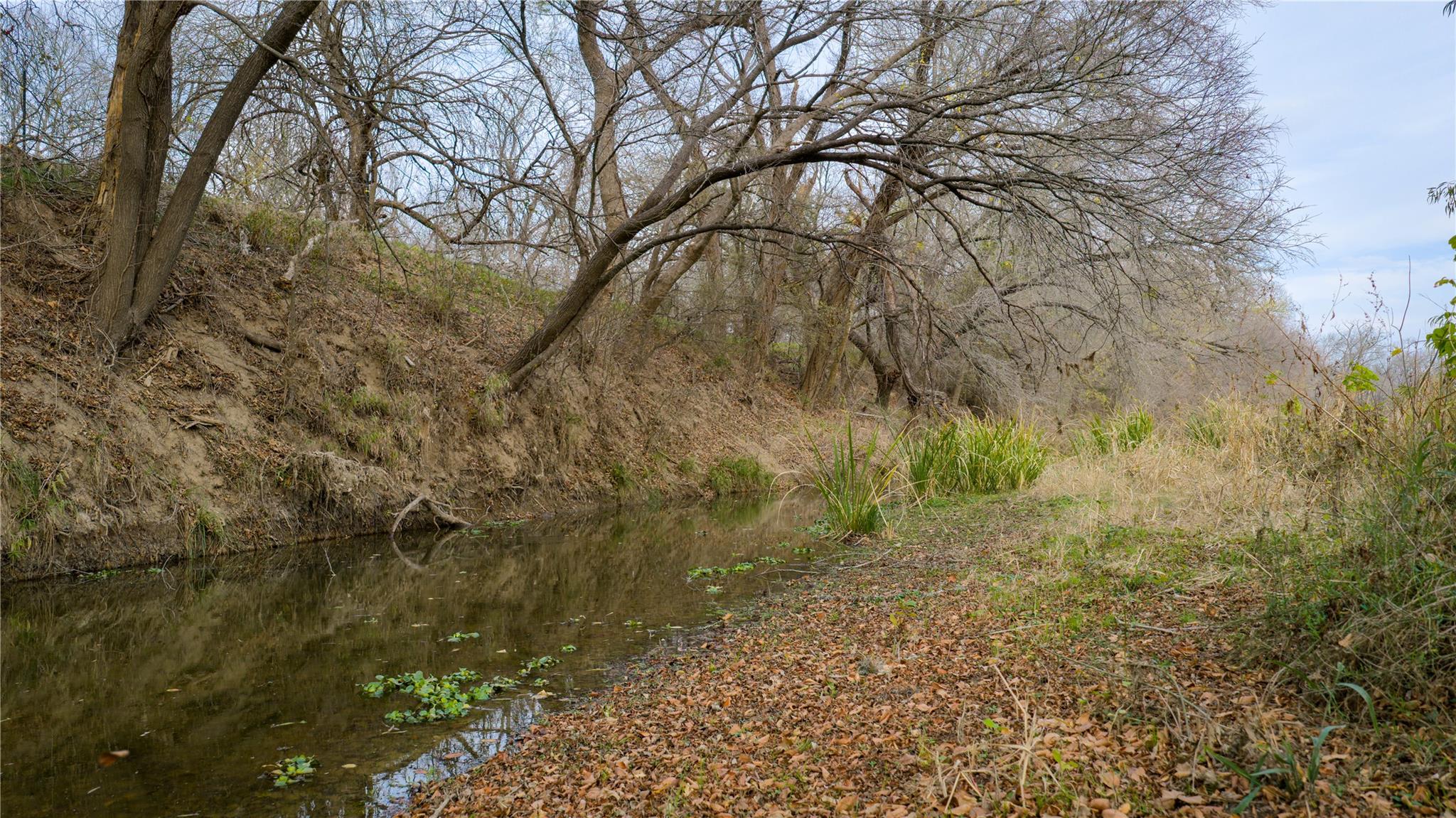 218 Brody Ln, Bastrop, TX 78602