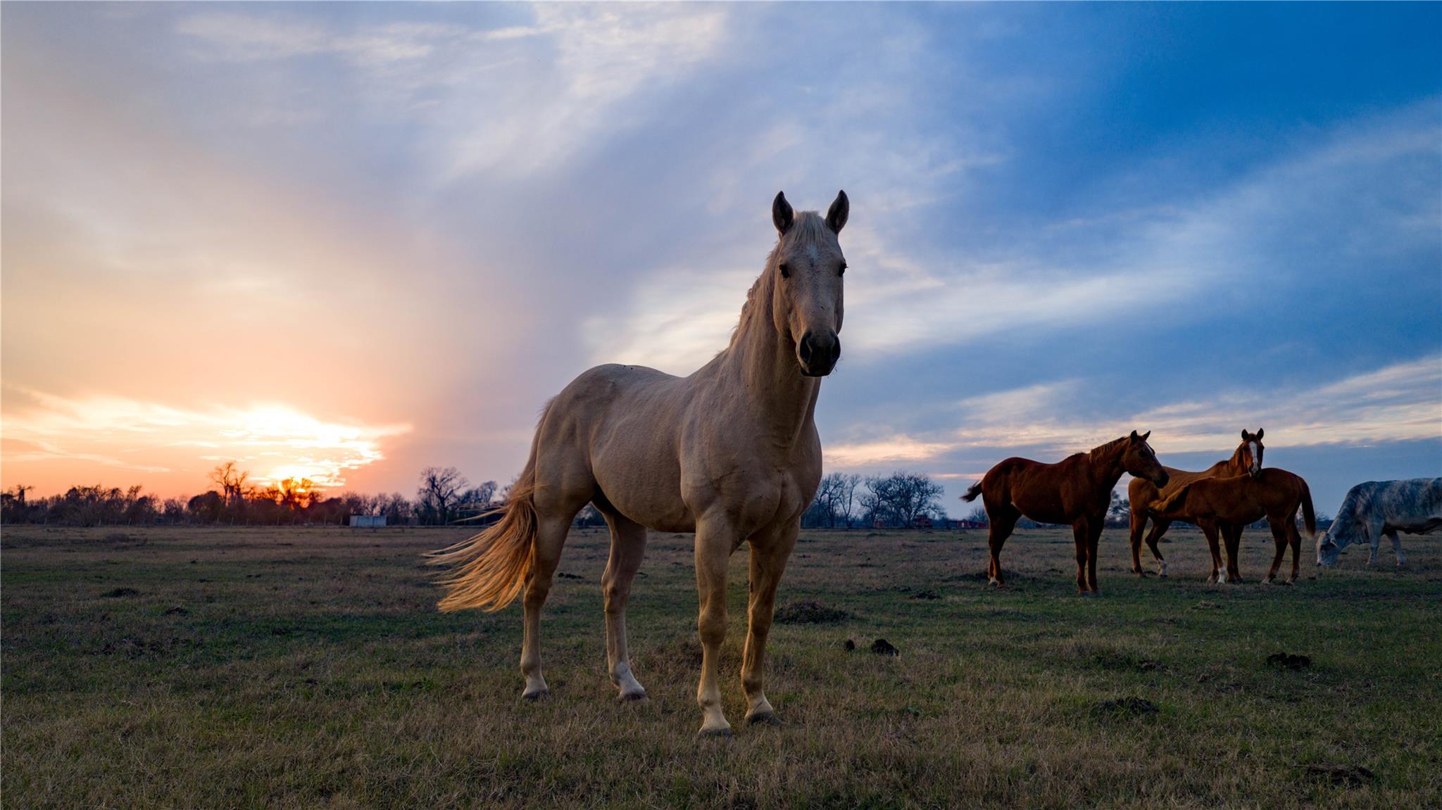 218 Brody Ln, Bastrop, TX 78602
