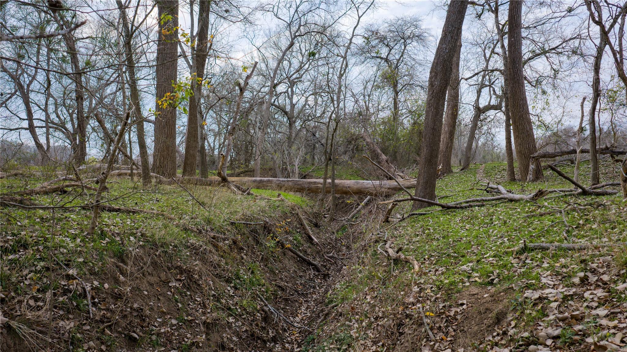 218 Brody Ln, Bastrop, TX 78602