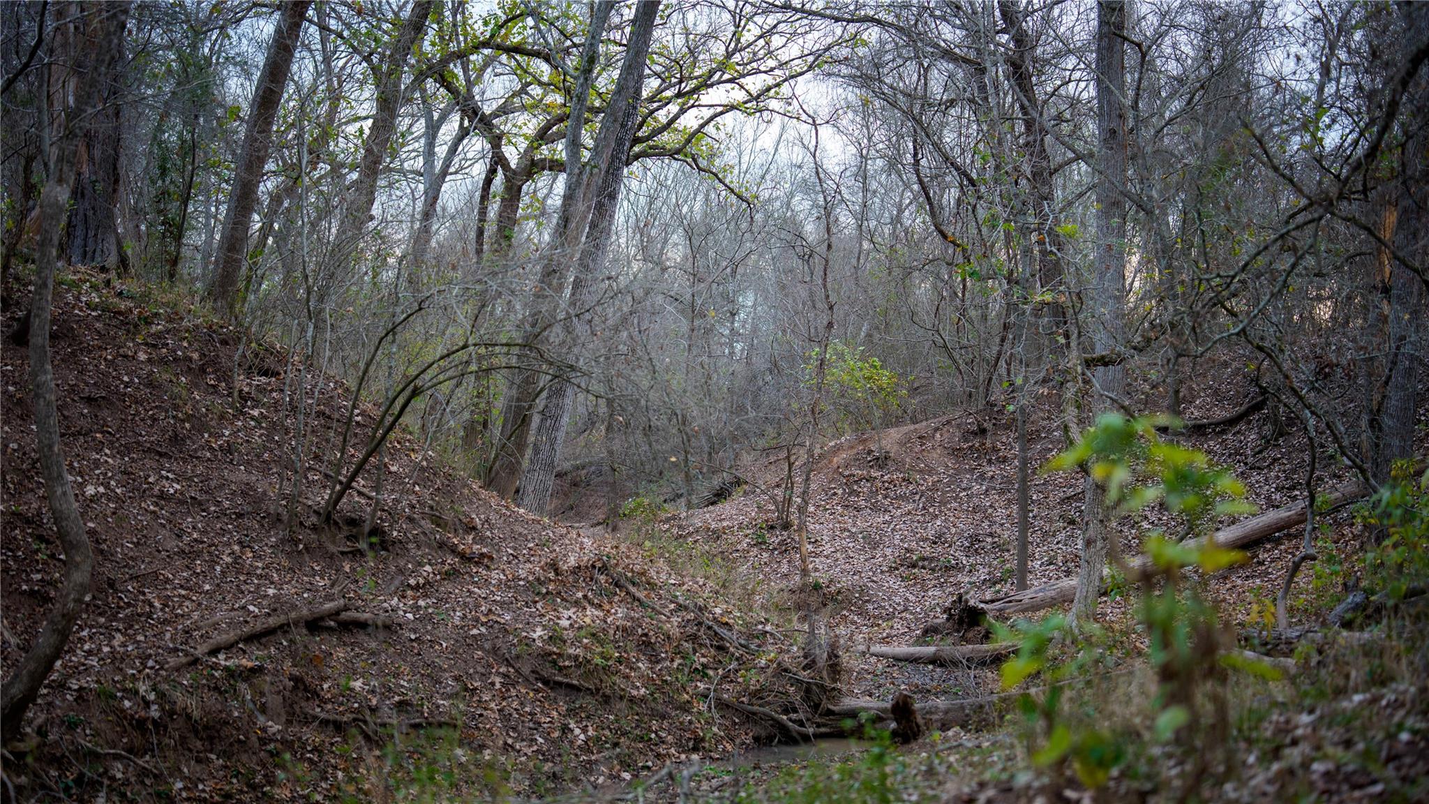 218 Brody Ln, Bastrop, TX 78602