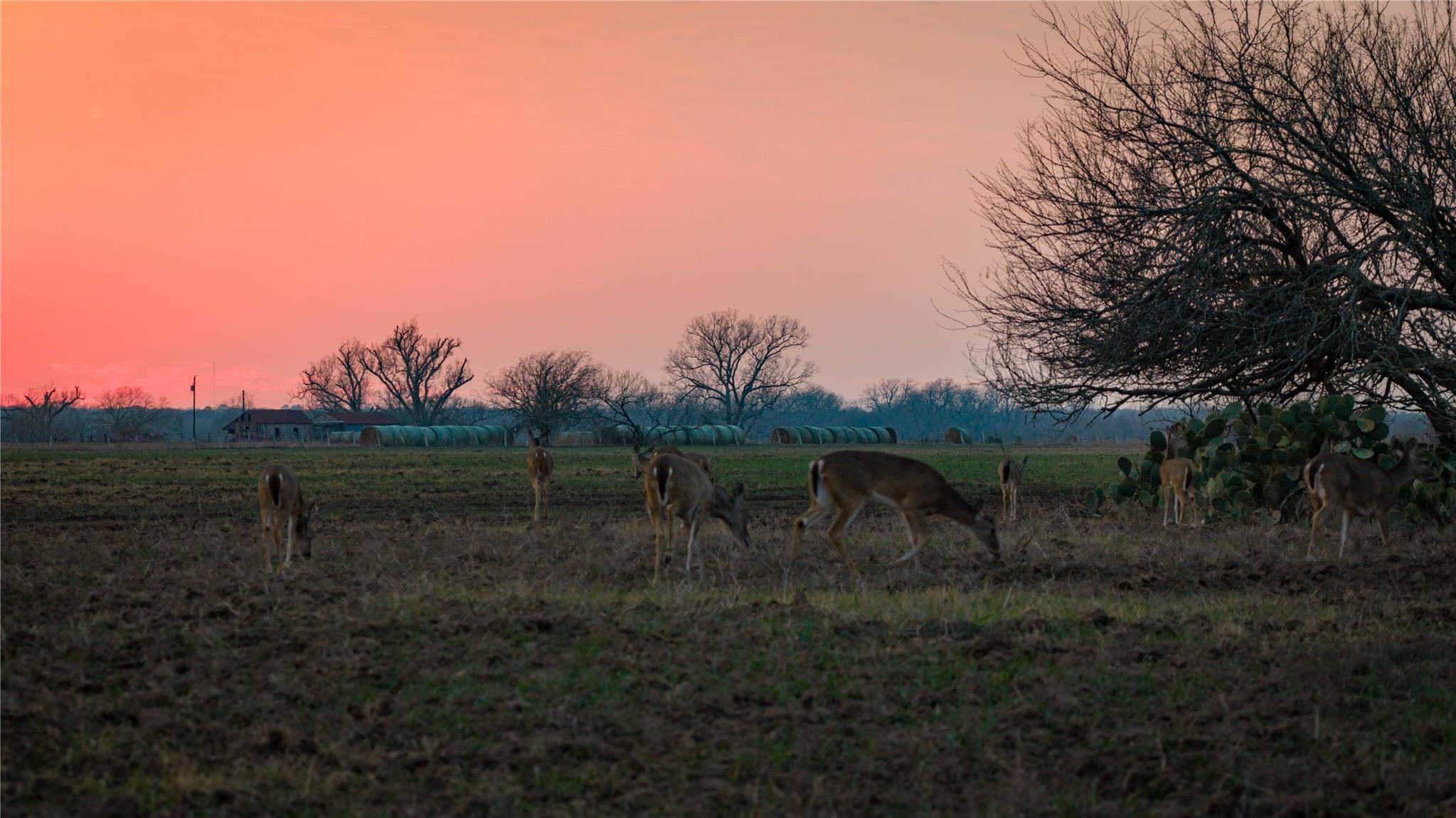 218 Brody Ln, Bastrop, TX 78602