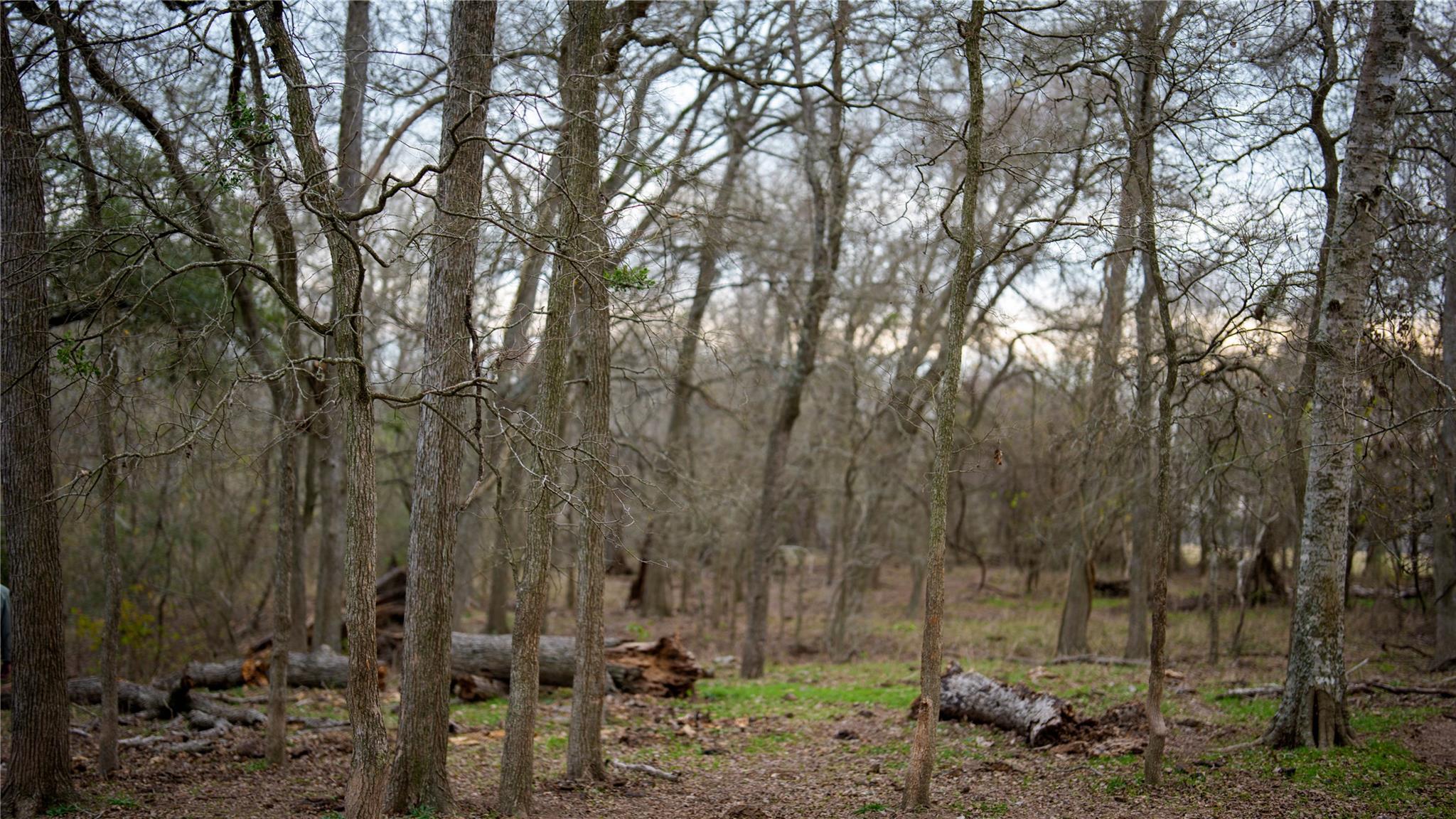 218 Brody Ln, Bastrop, TX 78602