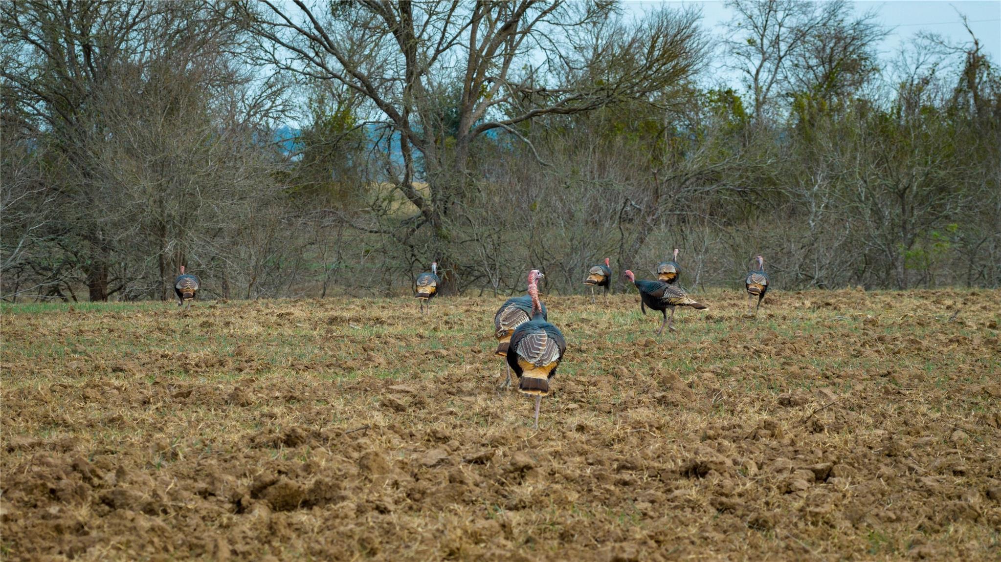 218 Brody Ln, Bastrop, TX 78602