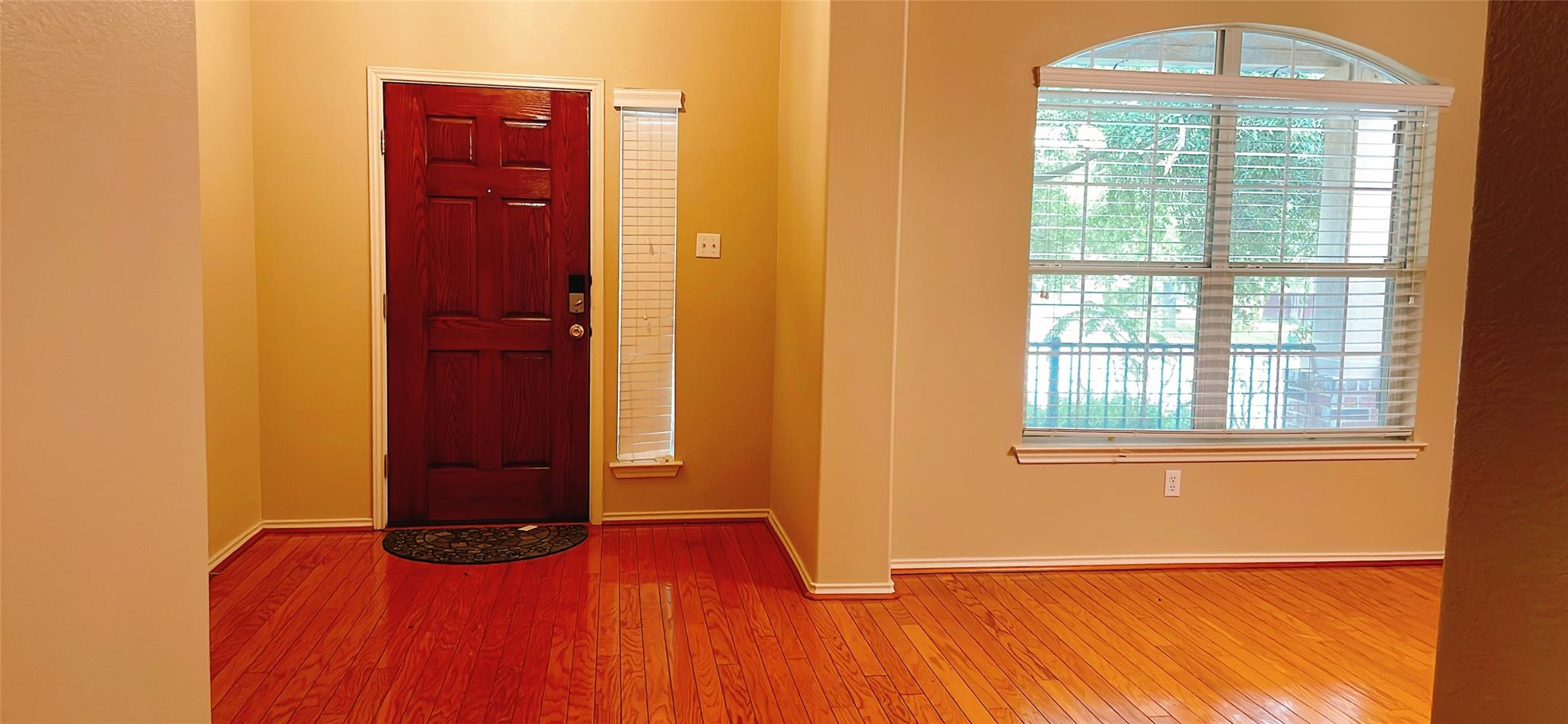 2705 Blackstone Cv, Round Rock, TX 78665