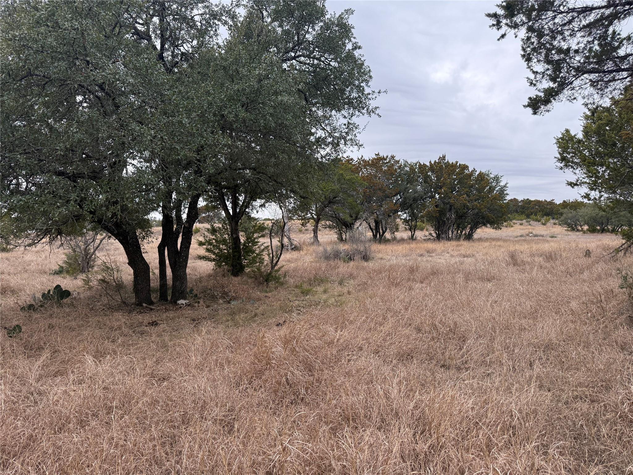 23651 Wolfridge Rd, Killeen, TX 76549