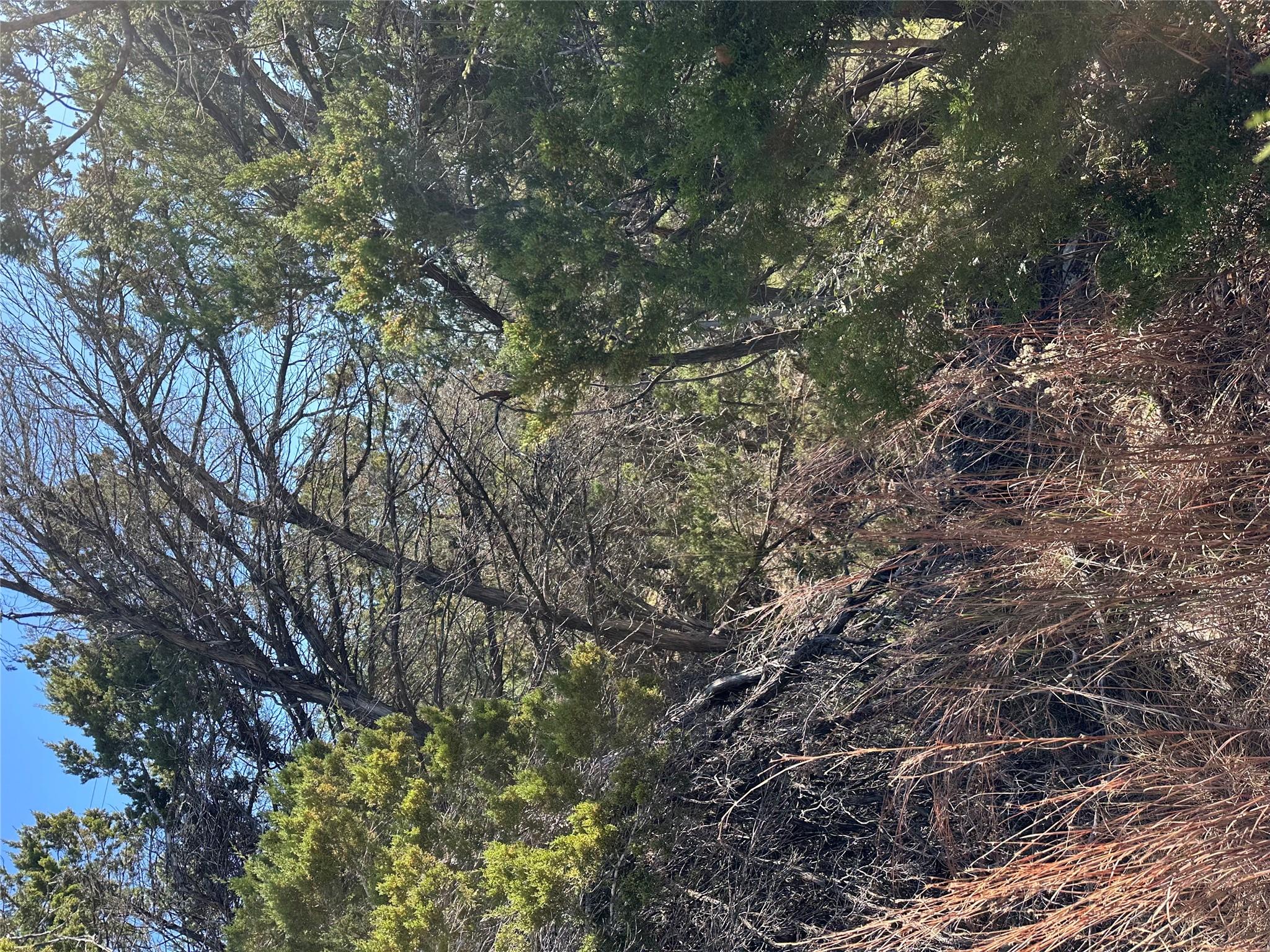 9332 Oxbow Cir, Lago Vista, TX 78645