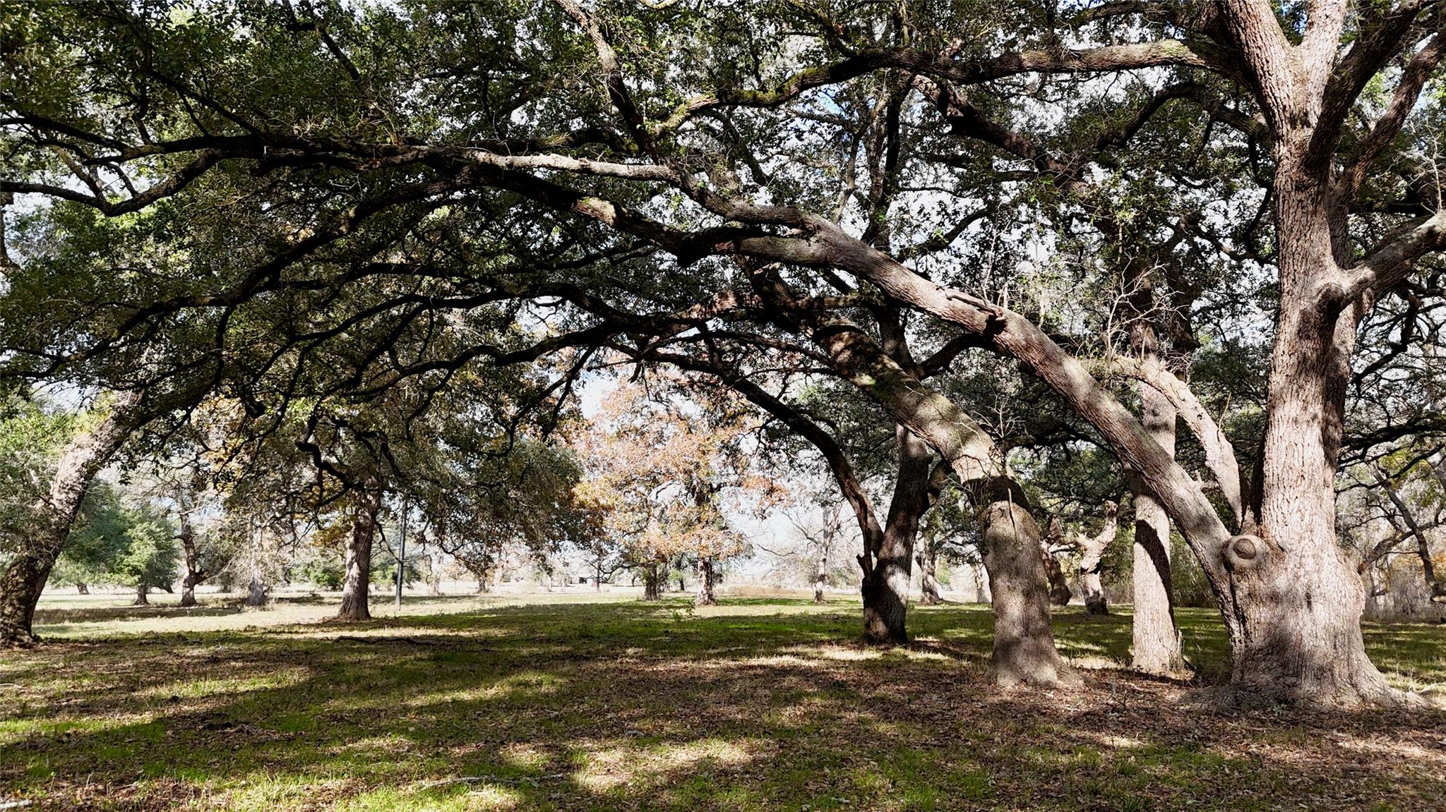 TBD County Road 405, Flatonia, TX 78941