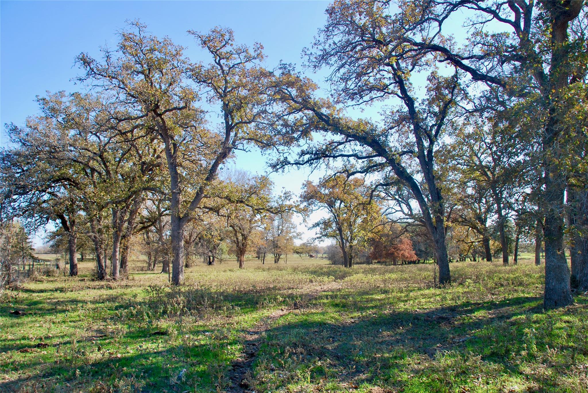 TBD County Road 405, Flatonia, TX 78941