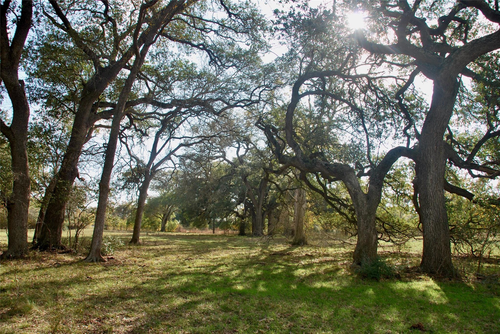 TBD County Road 405, Flatonia, TX 78941