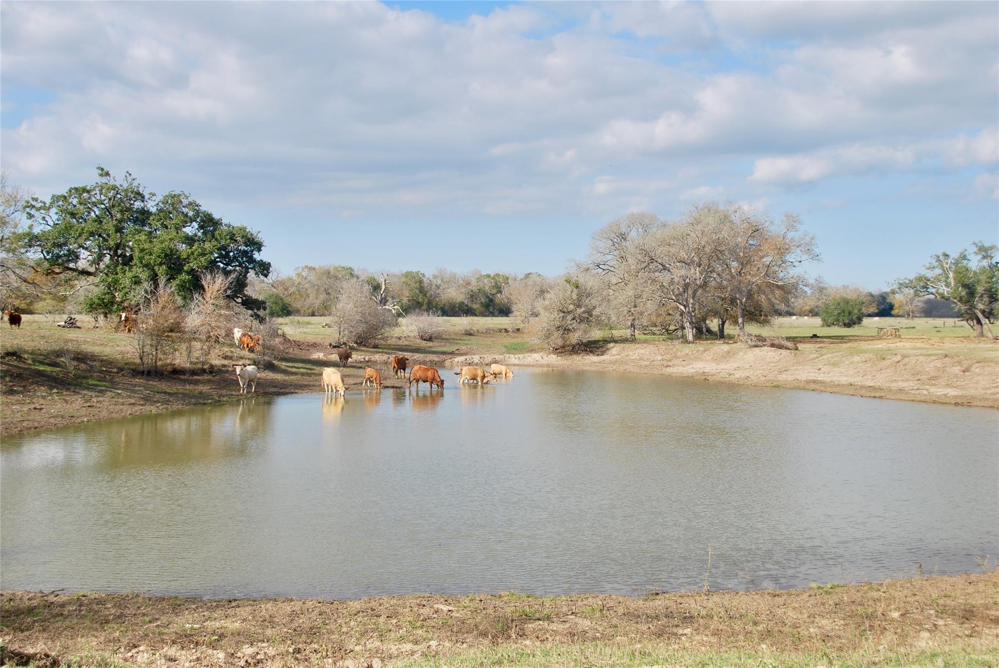 TBD County Road 405, Flatonia, TX 78941