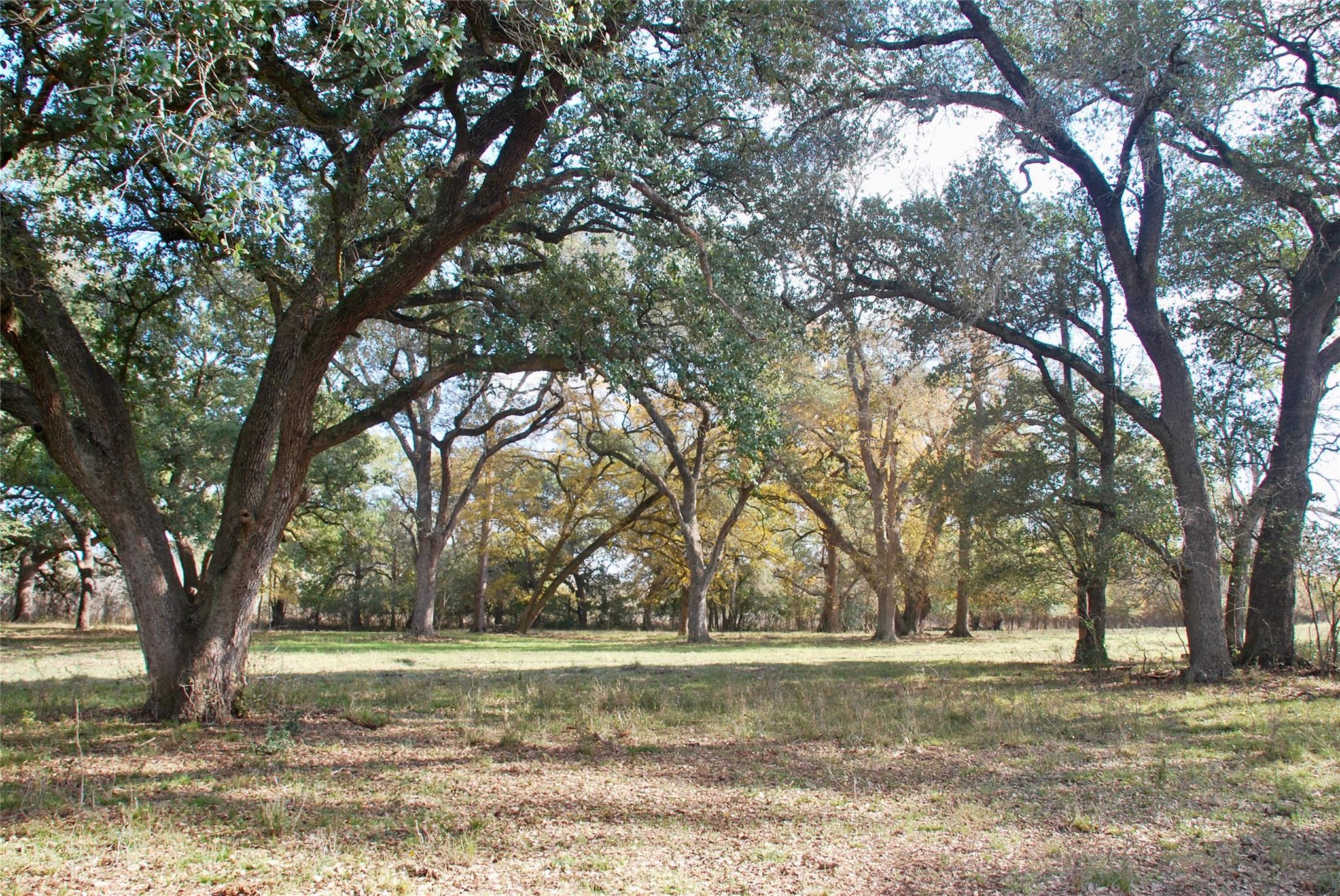 TBD County Road 405, Flatonia, TX 78941