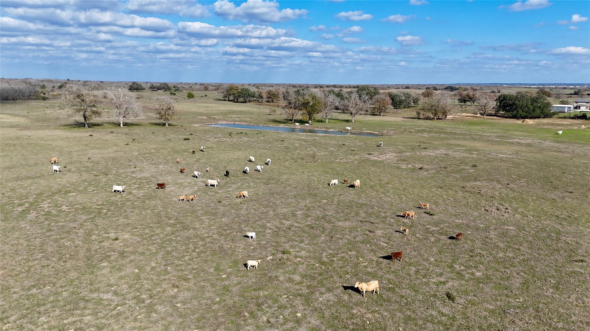 TBD County Road 405, Flatonia, TX 78941
