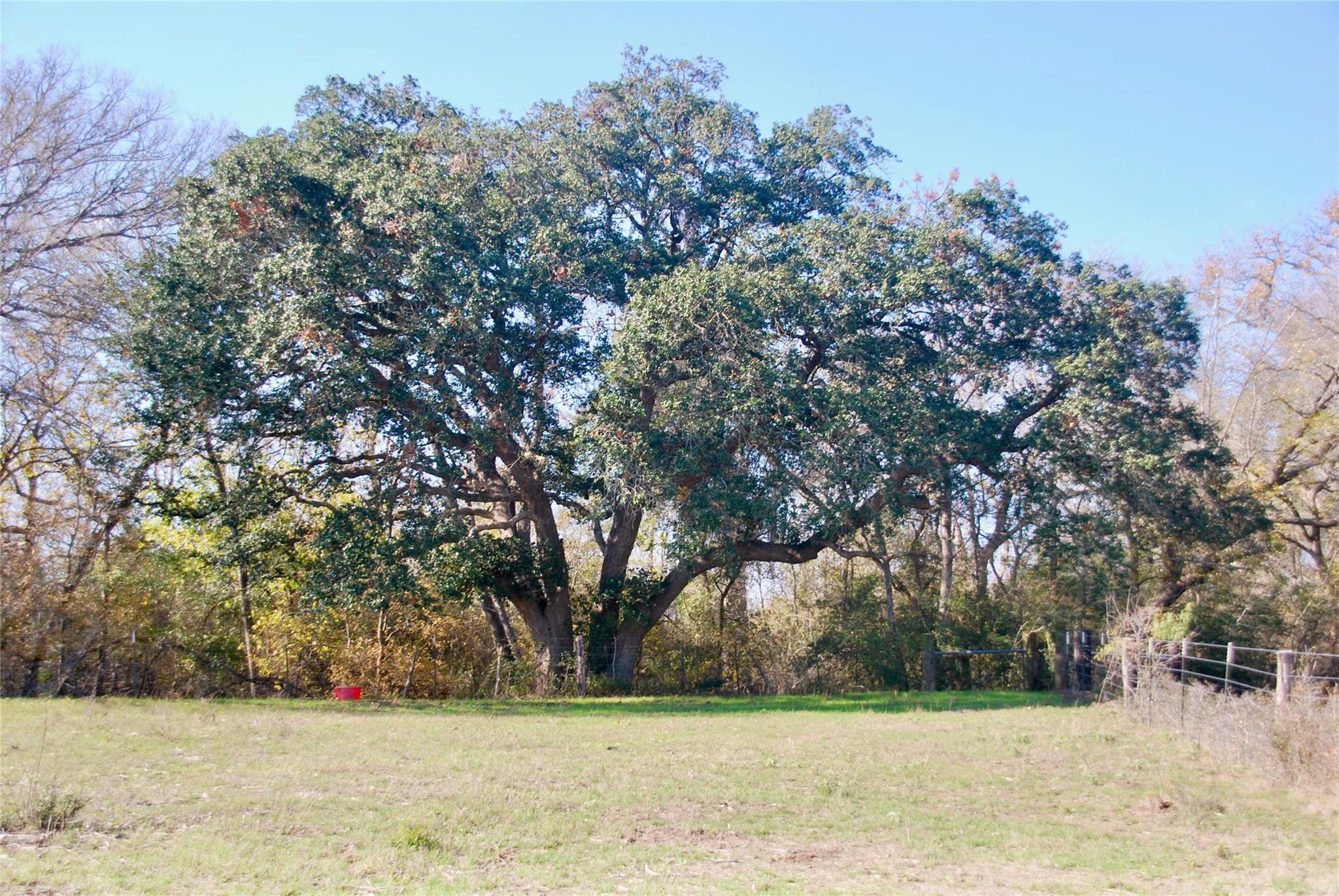 TBD County Road 405, Flatonia, TX 78941