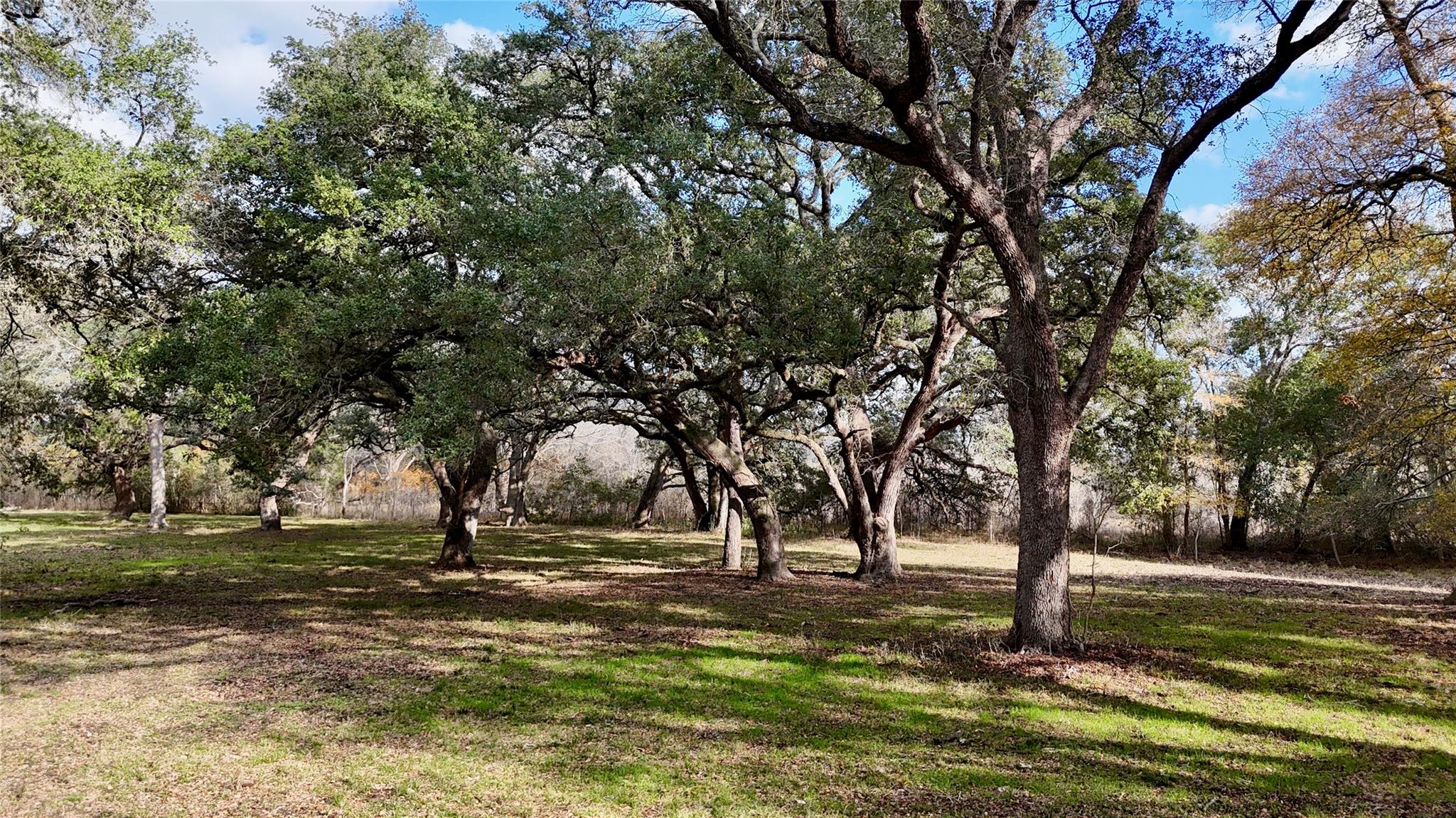 TBD County Road 405, Flatonia, TX 78941