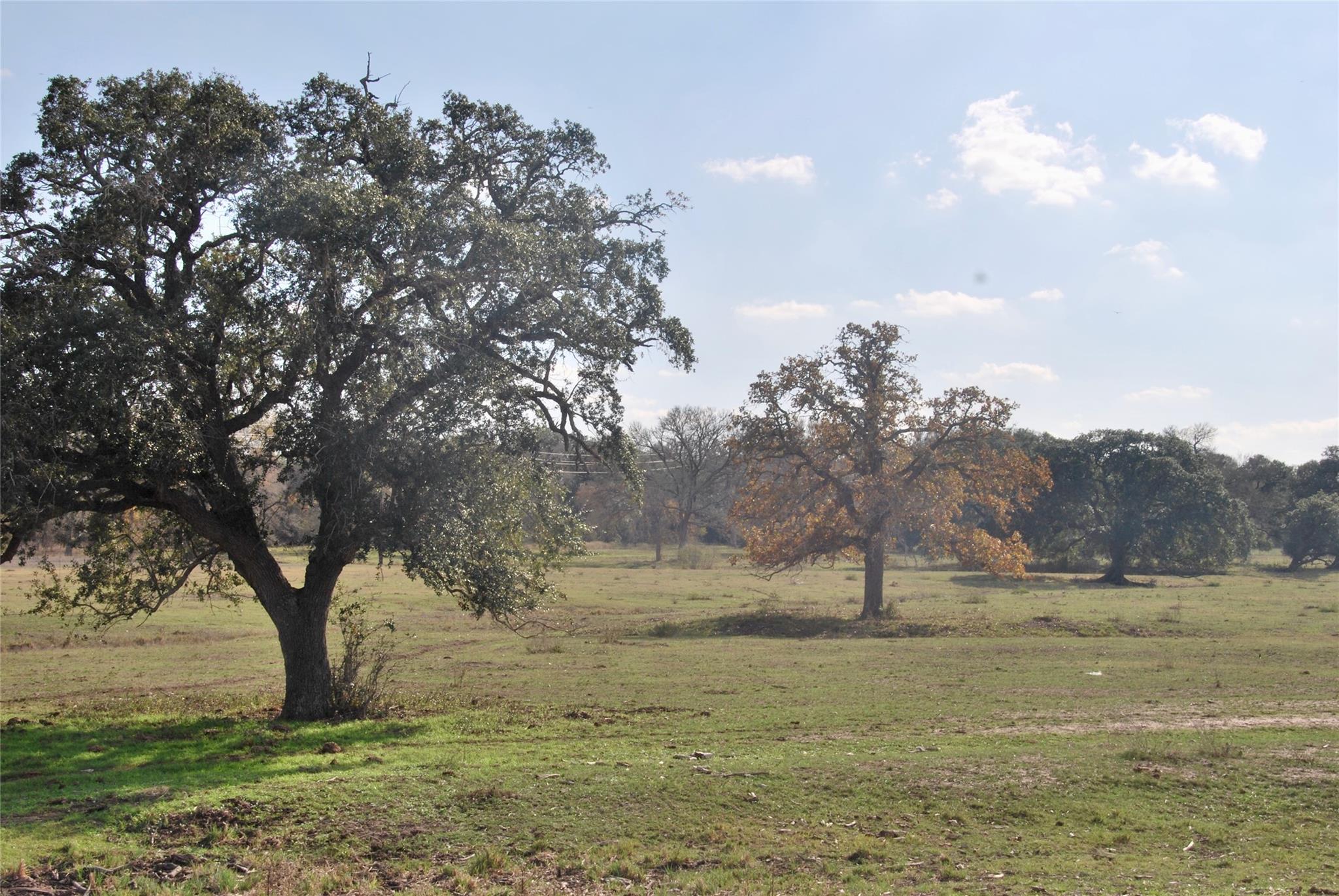 TBD County Road 405, Flatonia, TX 78941