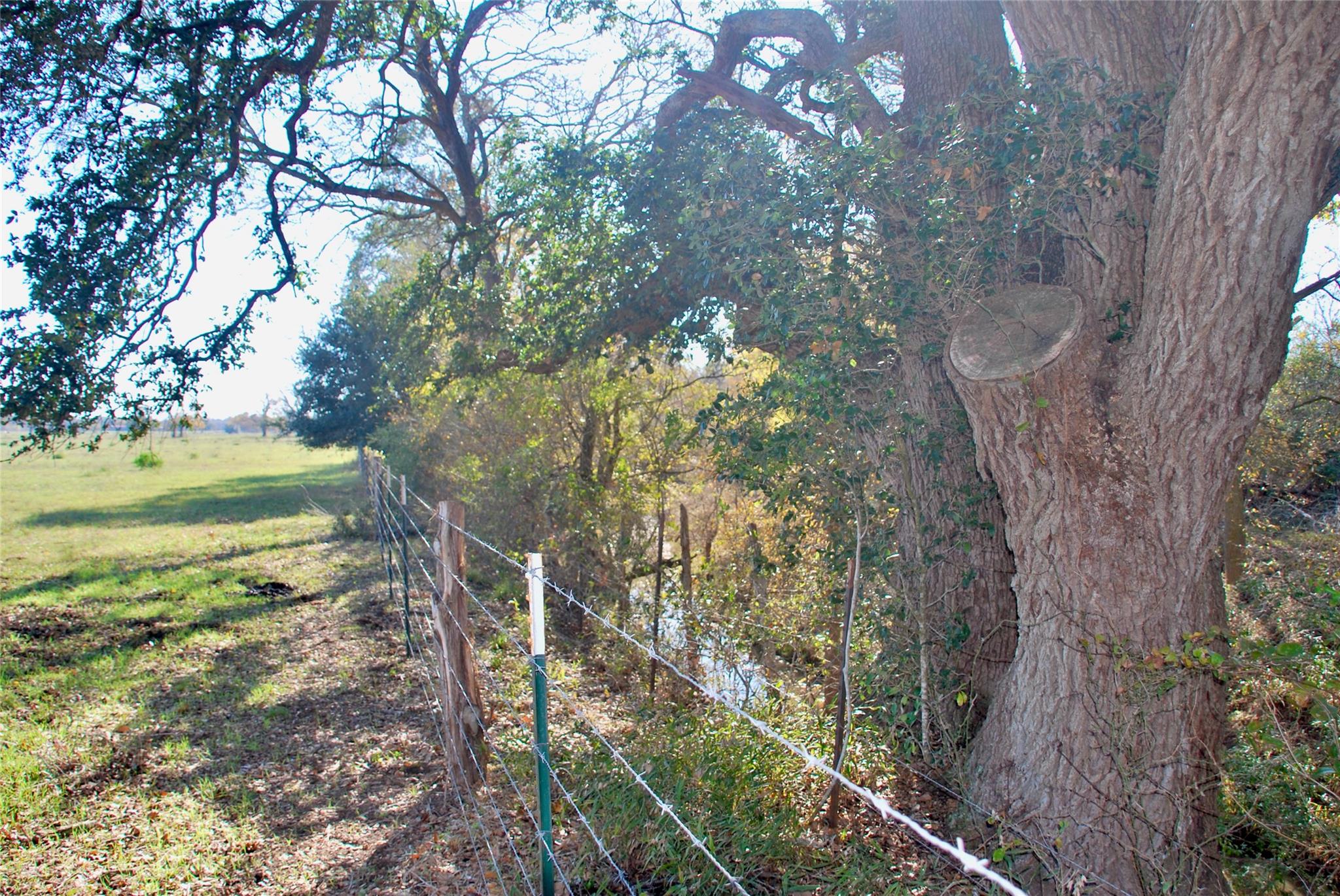 TBD County Road 405, Flatonia, TX 78941