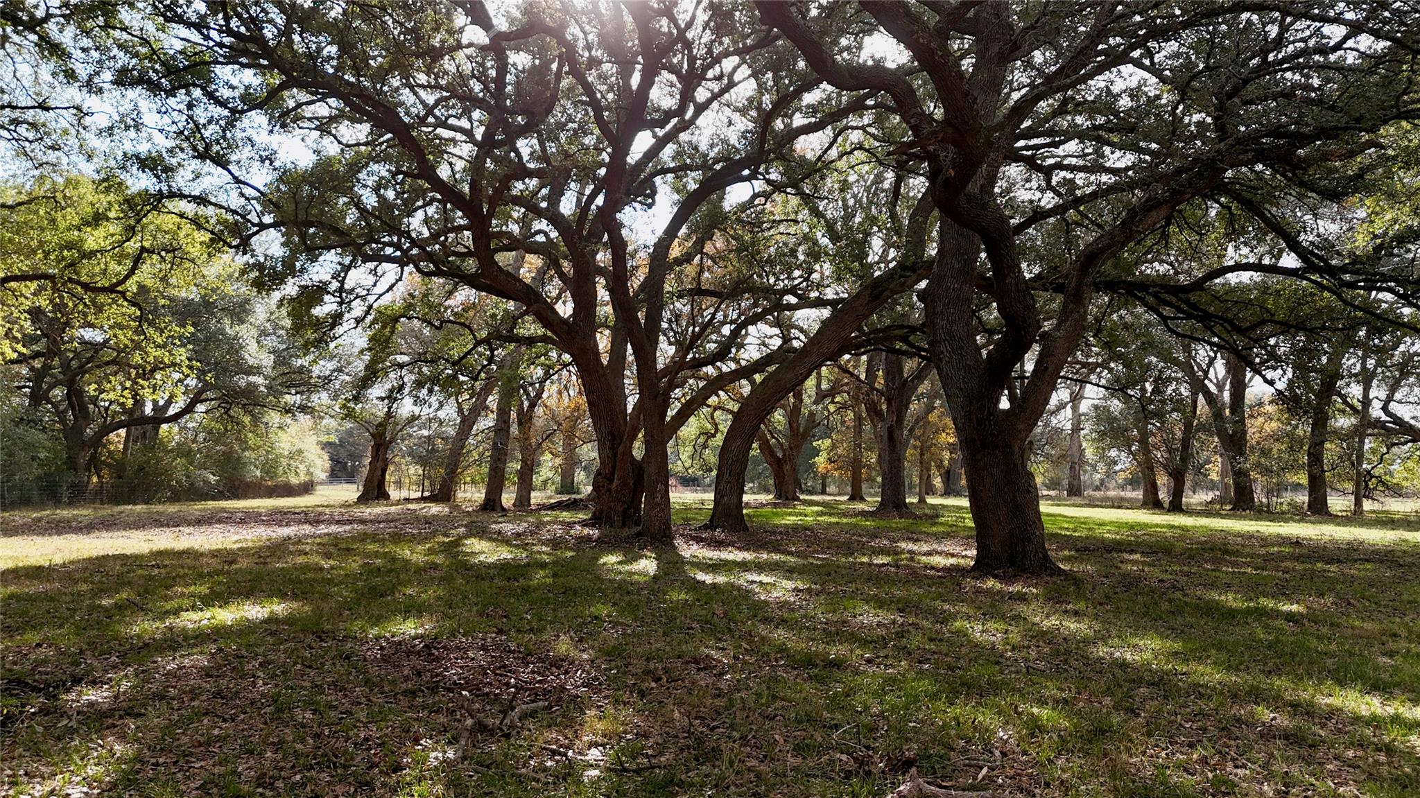 TBD County Road 405, Flatonia, TX 78941