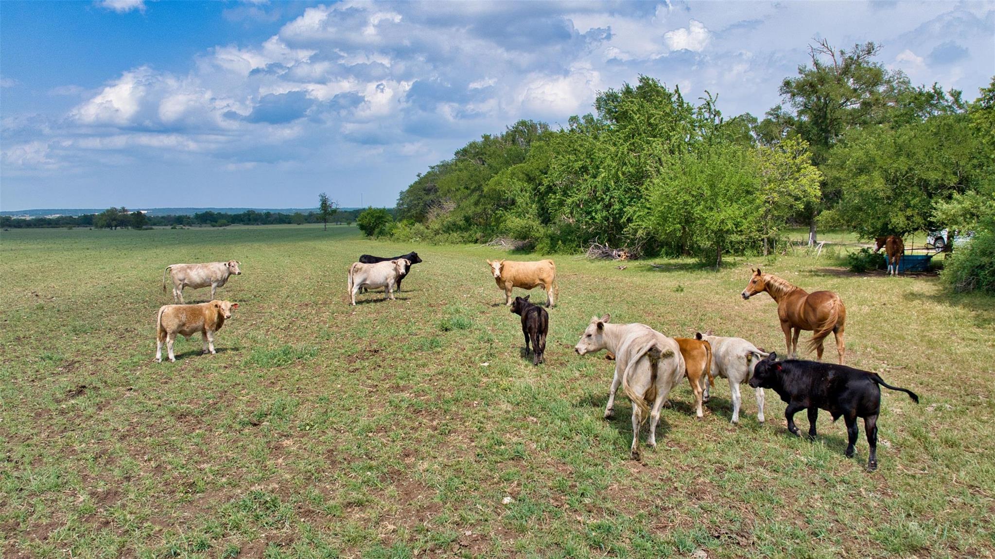 2700 County Road 245, Florence, TX 76527