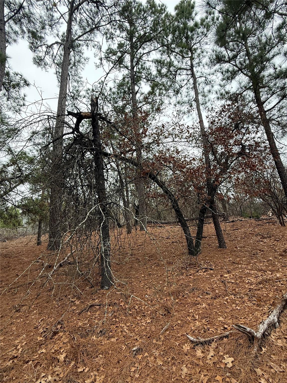 105 Waialua Ct, Bastrop, TX 78602