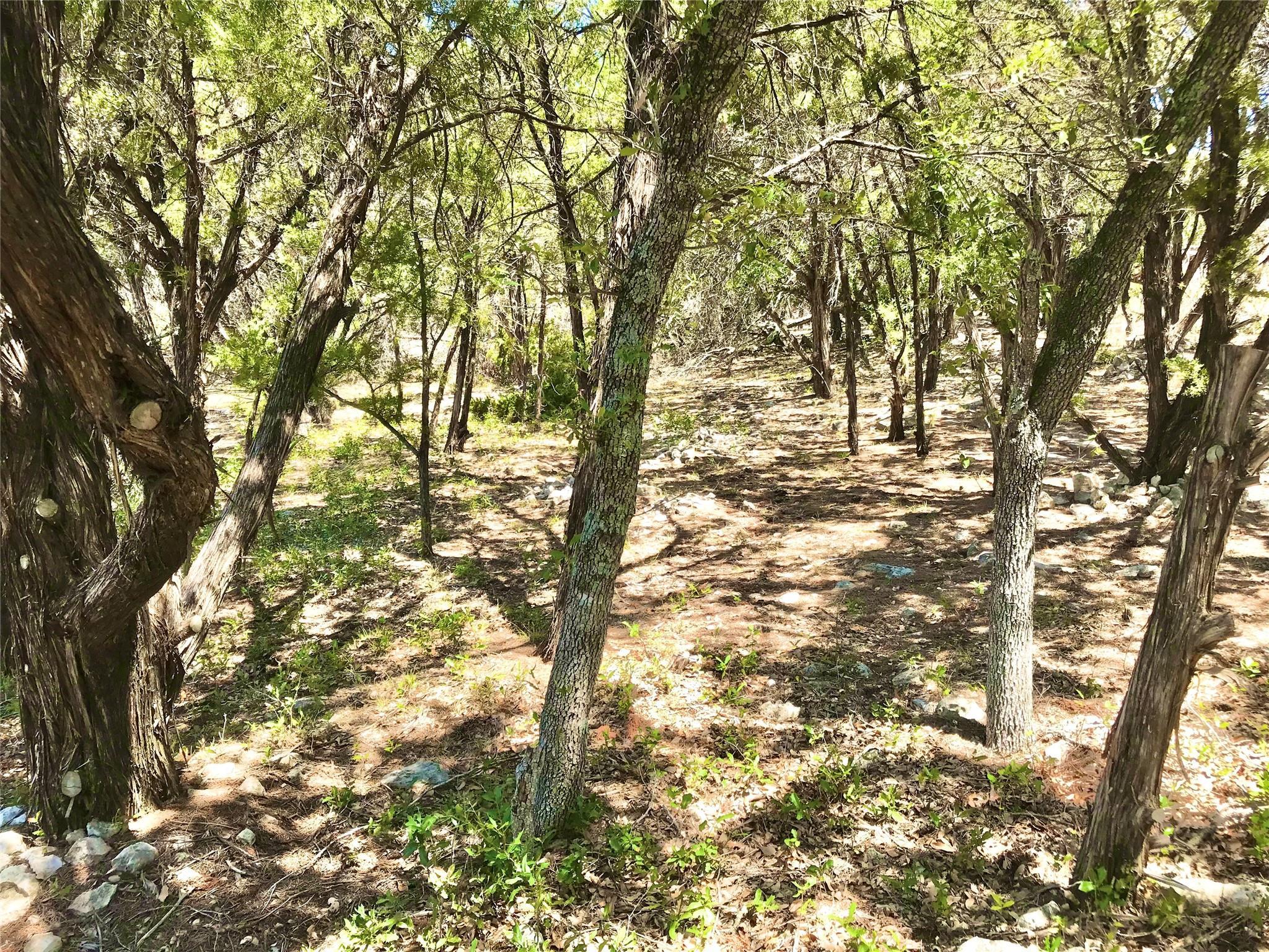 7205 White Oak Dr, Lago Vista, TX 78645