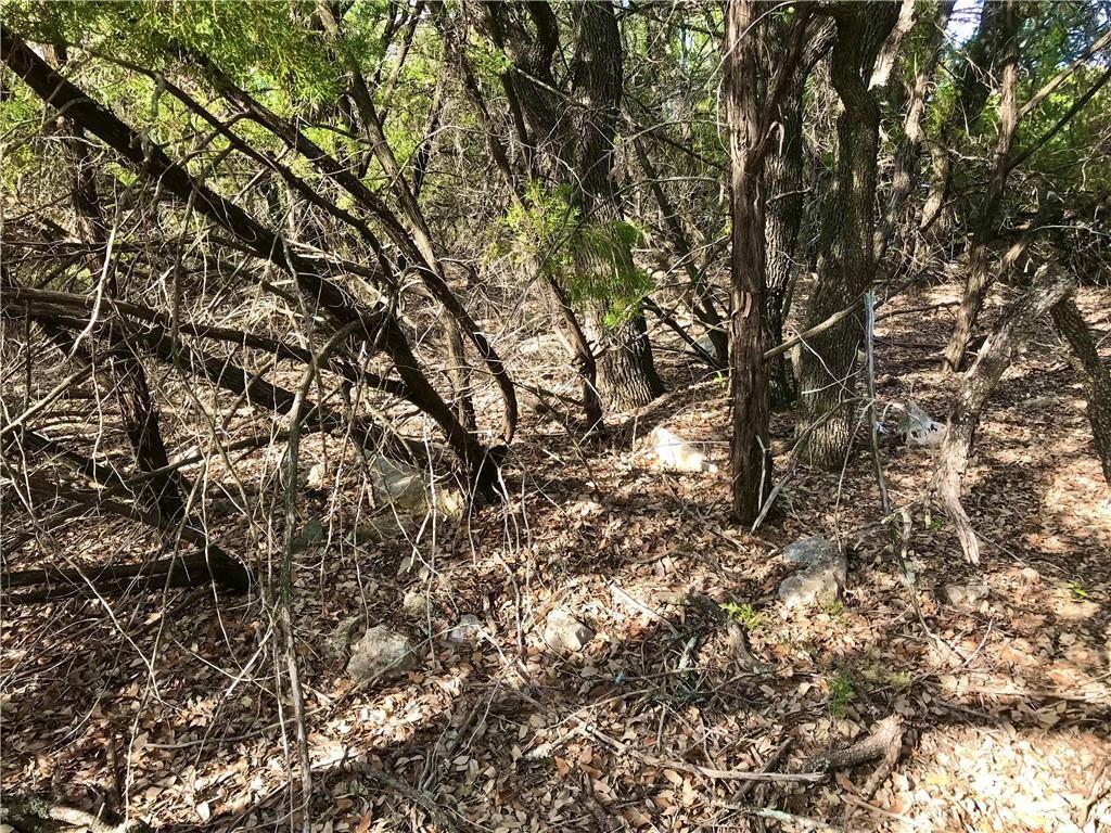 8126 Chantilly Trl, Leander, TX 78645