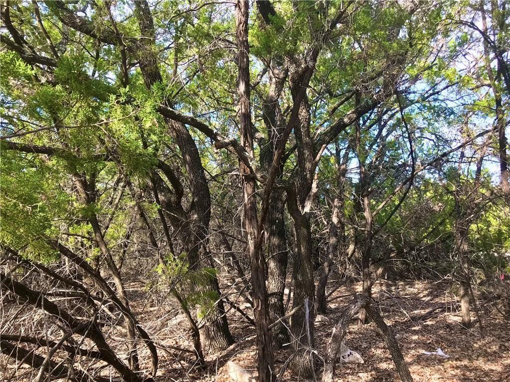 8126 Chantilly Trl, Leander, TX 78645