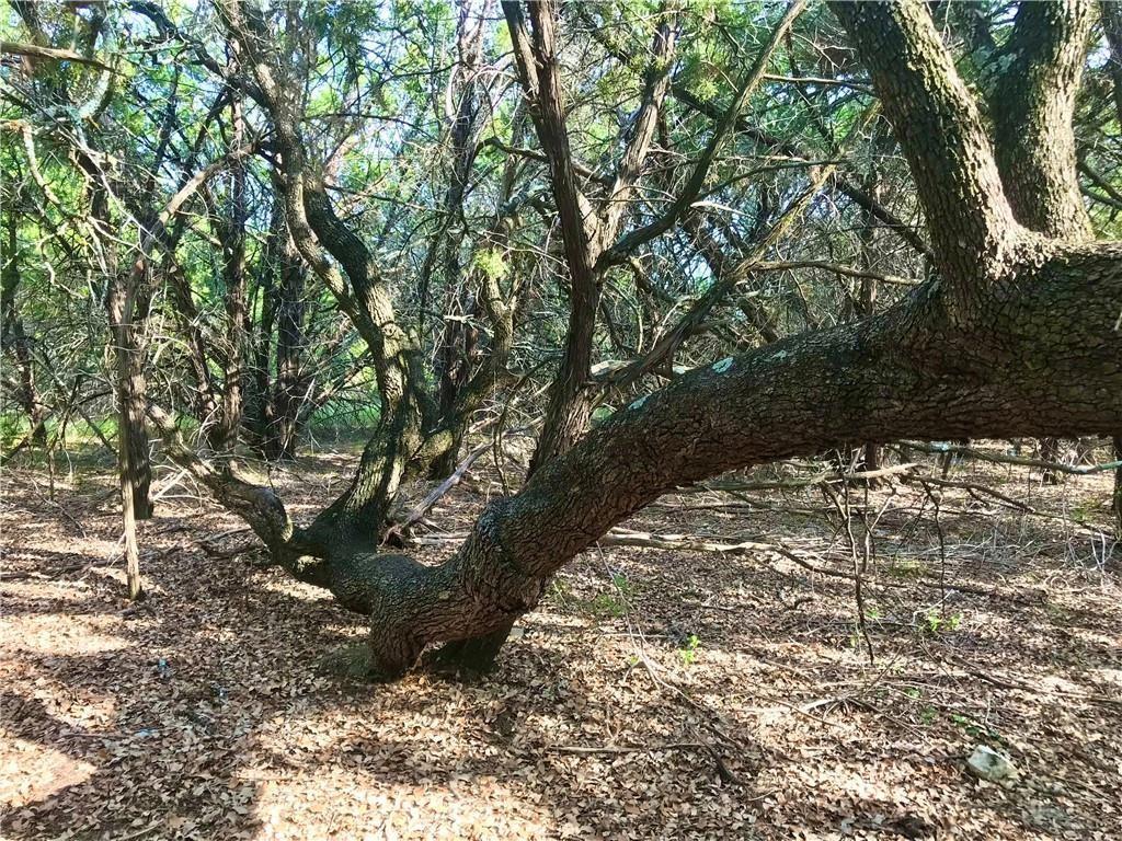 8126 Chantilly Trl, Leander, TX 78645